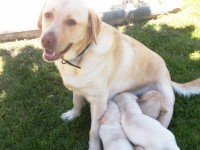 /album/fotos-recentes-/fotos-085-jpg/